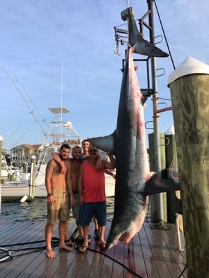 Members of a fishing charter on the Jenny Lee stand July 22, 2017, with a 926-pound mako shark at Hoffman's Marina in Brielle, N.J.