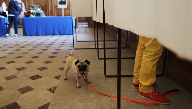 A dog waits outside a polling booth as his owner prepares to cast his ballot in Caen, France, on April 23, 2017, during the first round of the presidential elections.